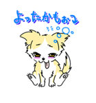 しなこの毎日 - CHINAKO's EVERYDAY -（個別スタンプ：12）