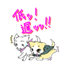 しなこの毎日 - CHINAKO's EVERYDAY -（個別スタンプ：20）