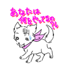 しなこの毎日 - CHINAKO's EVERYDAY -（個別スタンプ：25）