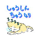 しなこの毎日 - CHINAKO's EVERYDAY -（個別スタンプ：29）