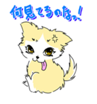 しなこの毎日 - CHINAKO's EVERYDAY -（個別スタンプ：38）