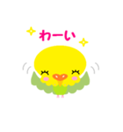 ほのぼのインコ（個別スタンプ：3）