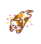 NEKKODOMO！（個別スタンプ：1）