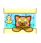 NEKKODOMO！（個別スタンプ：11）