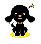 もこもこトイプー（Black）（個別スタンプ：13）