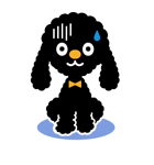 もこもこトイプー（Black）（個別スタンプ：19）