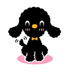 もこもこトイプー（Black）（個別スタンプ：20）