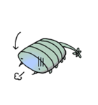 カンブリアンズ（個別スタンプ：38）