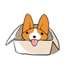 コーギー犬。（個別スタンプ：21）