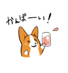 コーギー犬。（個別スタンプ：26）