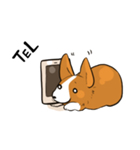 コーギー犬。（個別スタンプ：40）