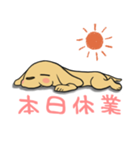 わんこもり。（個別スタンプ：8）