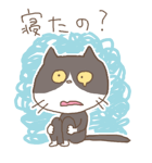 相槌ねこ（個別スタンプ：37）