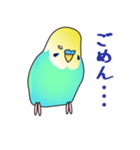 インコ の ぴーちゃん（個別スタンプ：33）