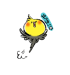 インコシリーズ オカメインコ（個別スタンプ：1）