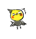 インコシリーズ オカメインコ（個別スタンプ：5）