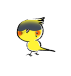 インコシリーズ オカメインコ（個別スタンプ：8）