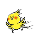 インコシリーズ オカメインコ（個別スタンプ：9）