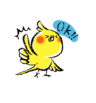インコシリーズ オカメインコ（個別スタンプ：11）