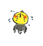 インコシリーズ オカメインコ（個別スタンプ：13）