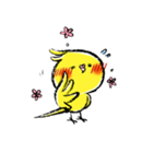 インコシリーズ オカメインコ（個別スタンプ：16）