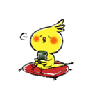 インコシリーズ オカメインコ（個別スタンプ：17）