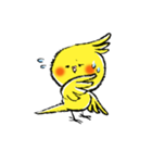 インコシリーズ オカメインコ（個別スタンプ：18）