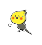 インコシリーズ オカメインコ（個別スタンプ：19）