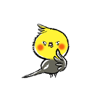 インコシリーズ オカメインコ（個別スタンプ：20）