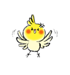インコシリーズ オカメインコ（個別スタンプ：22）