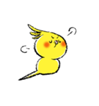 インコシリーズ オカメインコ（個別スタンプ：23）