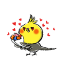 インコシリーズ オカメインコ（個別スタンプ：33）