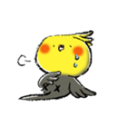 インコシリーズ オカメインコ（個別スタンプ：40）