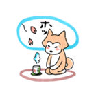 柴犬げんちゃんと仲間たち（個別スタンプ：1）