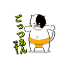 Spo Cat（個別スタンプ：3）