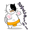 Spo Cat（個別スタンプ：4）