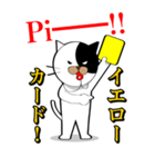 Spo Cat（個別スタンプ：6）