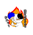 Spo Cat（個別スタンプ：10）