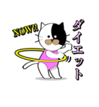 Spo Cat（個別スタンプ：14）