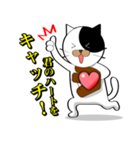 Spo Cat（個別スタンプ：17）