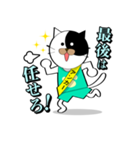 Spo Cat（個別スタンプ：31）