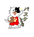 Spo Cat（個別スタンプ：36）