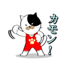 Spo Cat（個別スタンプ：39）