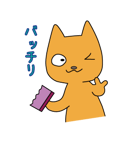 掃除ねこ（個別スタンプ：28）