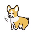 愛犬スタンプシリーズ1 コーギー風（個別スタンプ：3）