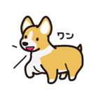 愛犬スタンプシリーズ1 コーギー風（個別スタンプ：12）