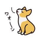 愛犬スタンプシリーズ1 コーギー風（個別スタンプ：16）