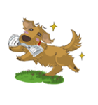 Dodimon: The Cheeky Golden Retrievers（個別スタンプ：33）