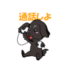 愛犬ジャズの日常（個別スタンプ：40）