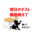 黒猫学生（個別スタンプ：3）